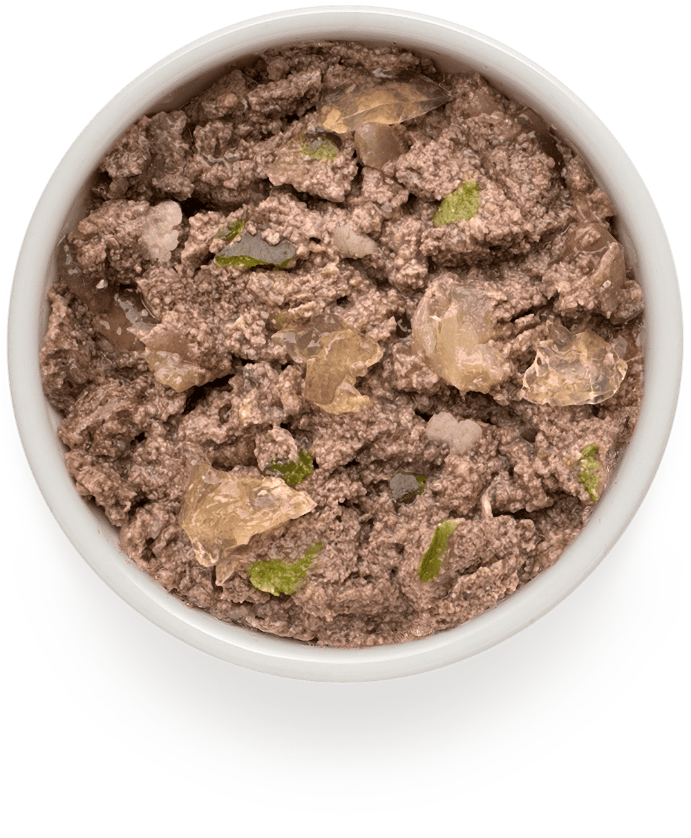 Влажный корм для собак Grandorf Fresh «Ягненок с цукини и цветной морковью»