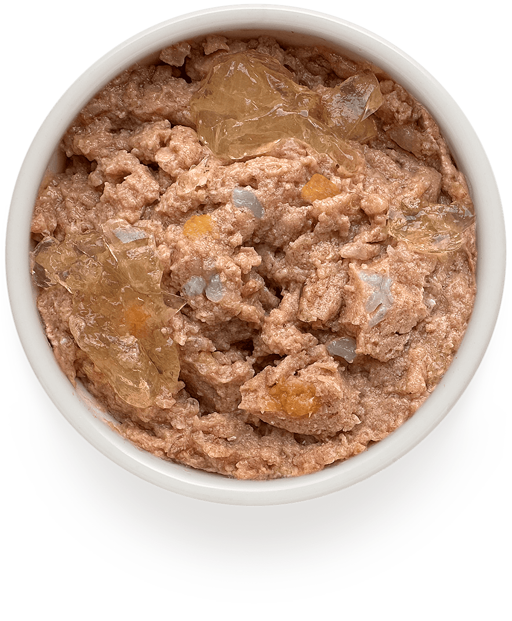 Влажный корм для собак Grandorf Fresh «Утка с бататом и цветной капустой»