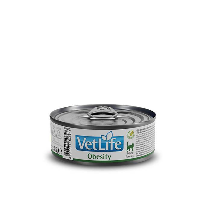 Влажный диетический корм для кошек Farmina Vet Life Obesity