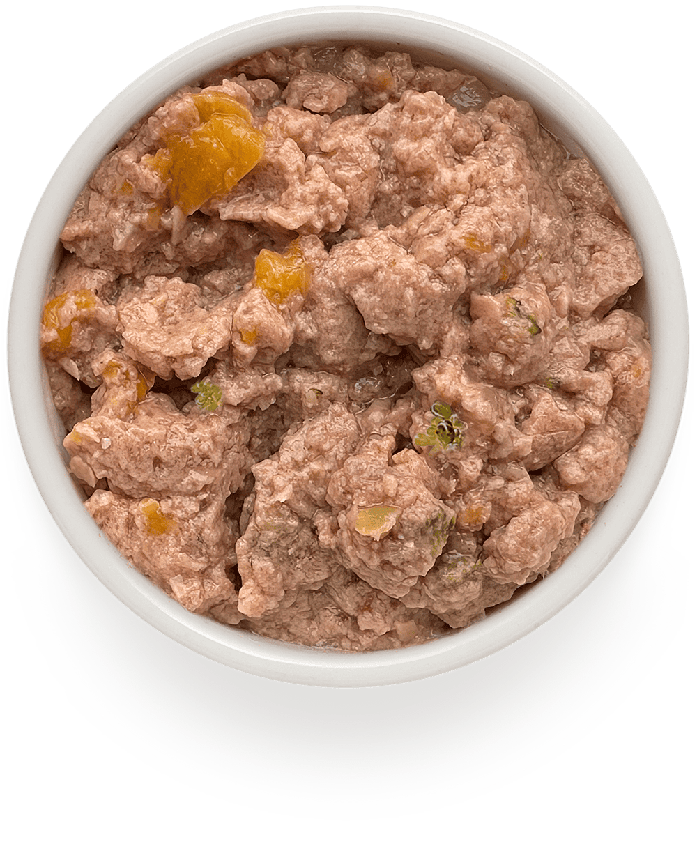 Влажный корм для собак Grandorf Fresh «Индейка с тыквой и брокколи»