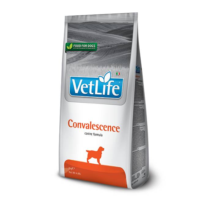 Vet Life Dog Convalescence